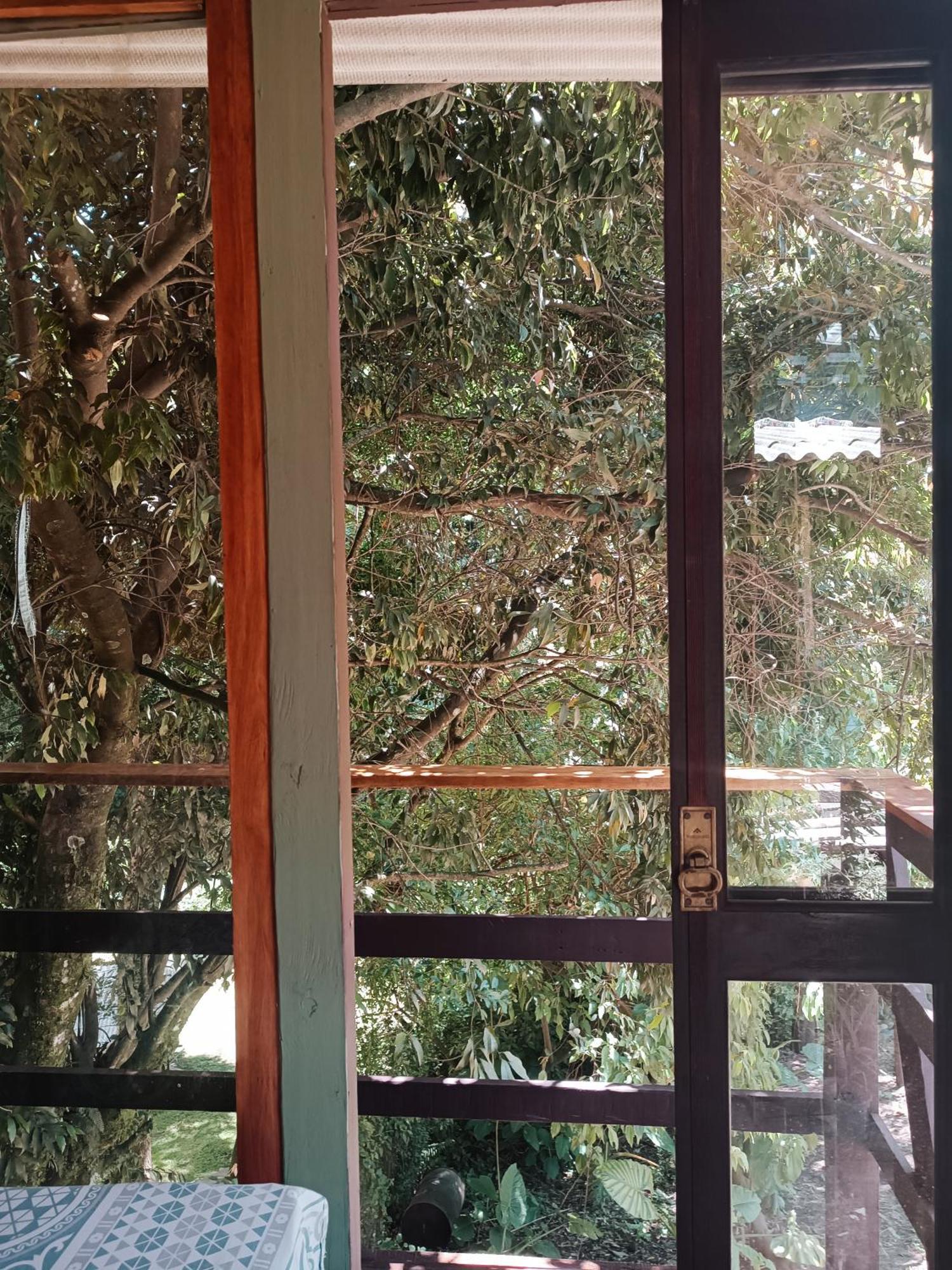 Gramado Guest House Buitenkant foto